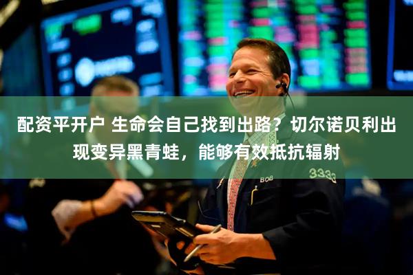 配资平开户 生命会自己找到出路？切尔诺贝利出现变异黑青蛙，能够有效抵抗辐射